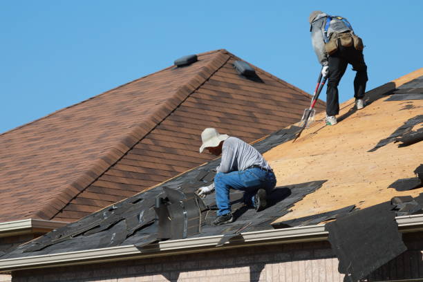 Best Tile Roofing Installation  in Bogata, TX